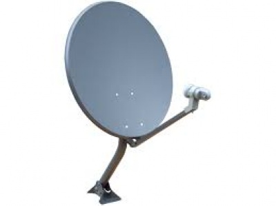 Dish
